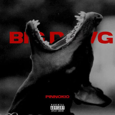 BIG DAWG | Boomplay Music