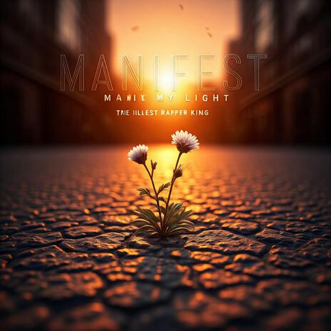 MANIFEST MY LIGHT | Boomplay Music