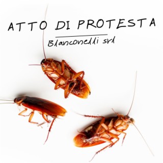 Atto di protesta