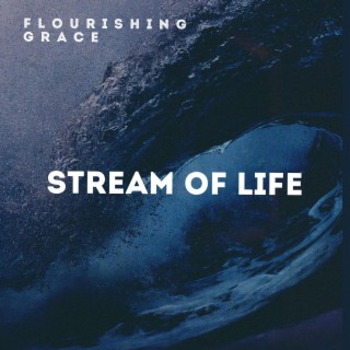 Stream Of Life