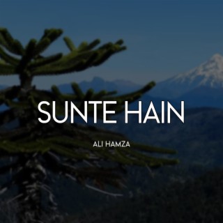 Sunte Hain