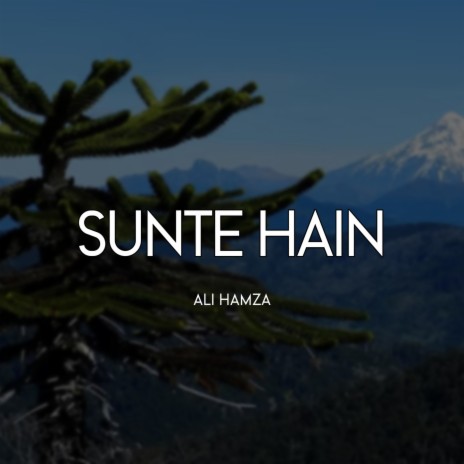 Sunte Hain | Boomplay Music