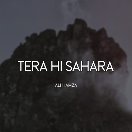 Tera Hi Sahara | Boomplay Music