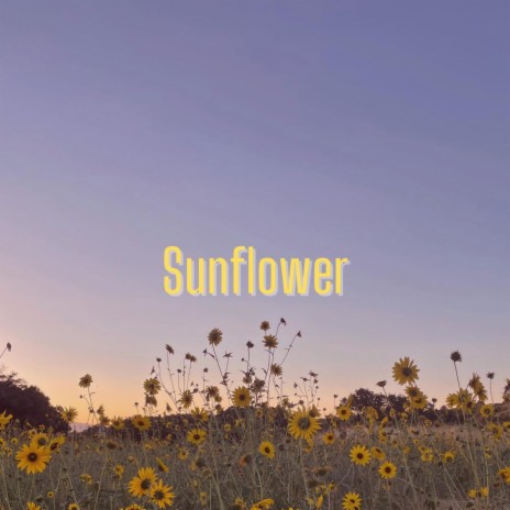 Sunflower (Acoustic) | Boomplay Music