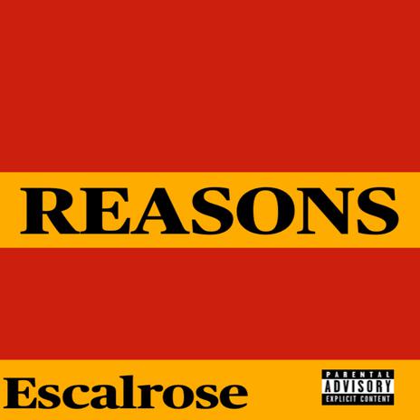 Reasons