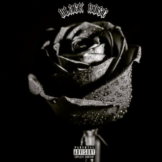 BLACK ROSE