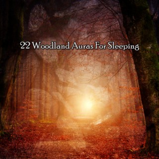 22 Woodland Auras For Sleeping