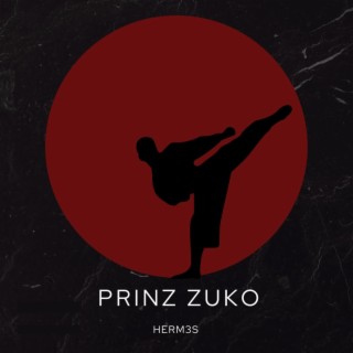 Prinz Zuko