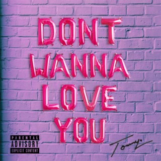 Don't Wanna Love You lyrics | Boomplay Music