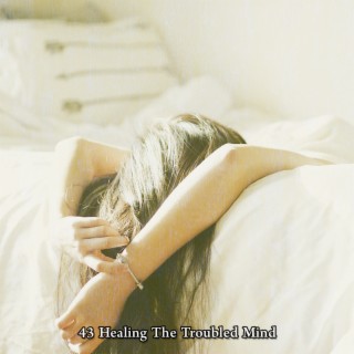 43 Healing The Troubled Mind