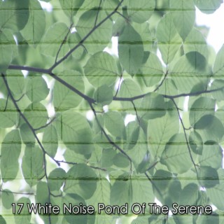 17 White Noise Pond Of The Serene