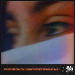 Evergreen (You Didn't Deserve Me At All) (Techno)