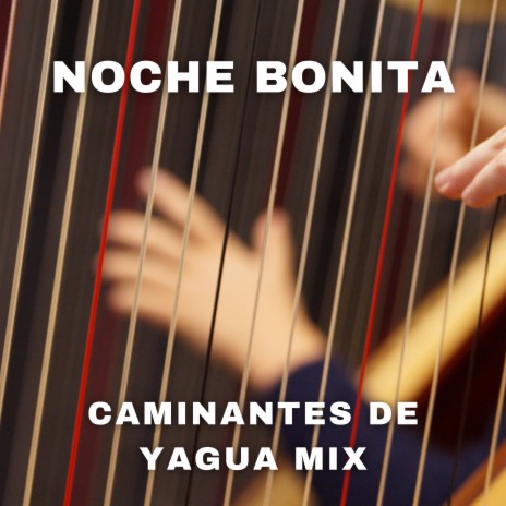 Noche Bonita | Boomplay Music