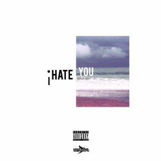 I Hate You (Wall-E Ge3z Remix)