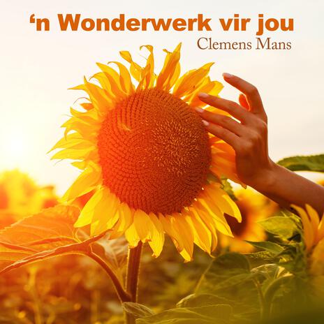 'n Wonderwerk vir jou | Boomplay Music