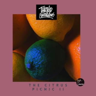 The Citrus Picnic II