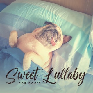 Sweet Lullaby for Dog's: Soothing Sleep Music for Pets, Healing Audio for Insomnia Cure