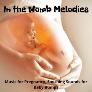 In the Womb Melodies: Music for Pregnancy, Soothing Sounds for Baby Bumps