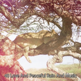 40 Love And Peaceful Rain And Music