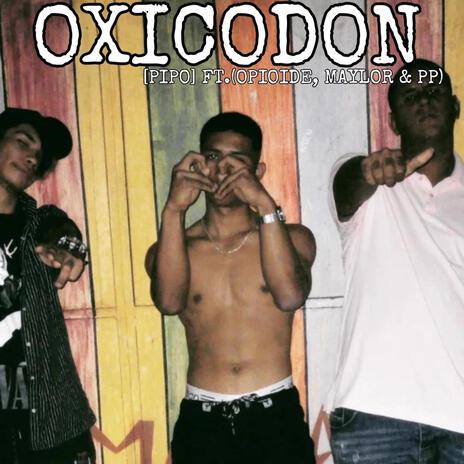 OXICODON ft. OPIOIDE, Maylor & PP | Boomplay Music