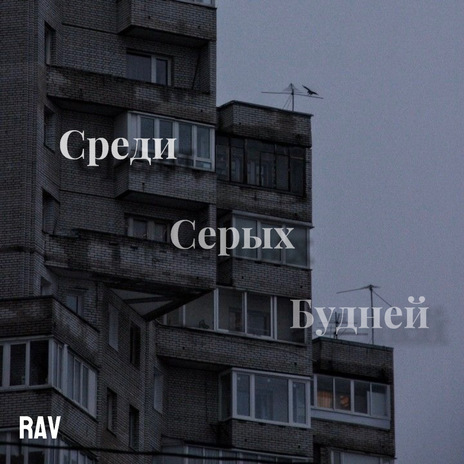 Среди серых будней | Boomplay Music