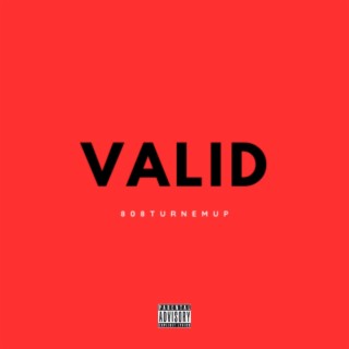 VALID lyrics | Boomplay Music