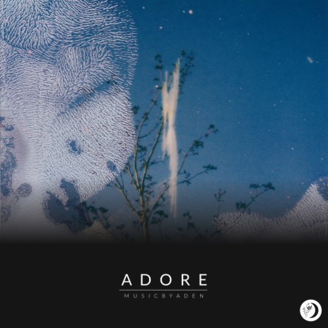 Adore | Boomplay Music
