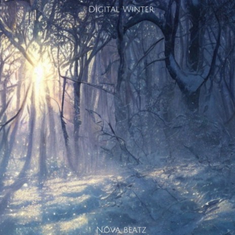 Digital Winter | Boomplay Music