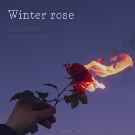 Winter Rose | Boomplay Music