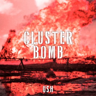 Cluster Bomb