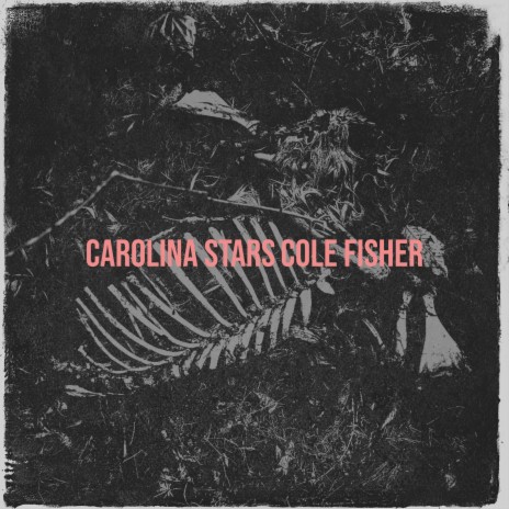 Carolina Stars | Boomplay Music