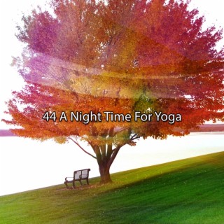 44 A Night Time For Yoga