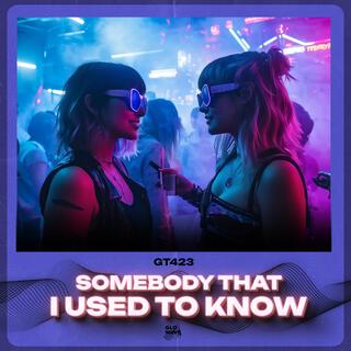 Somebody That I Used To Know (Techno)