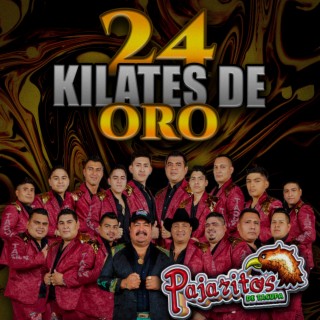 24 Kilates de Oro