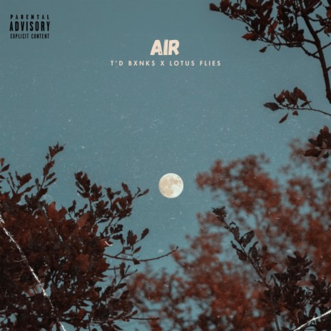 Air ft. Lotus Flies | Boomplay Music