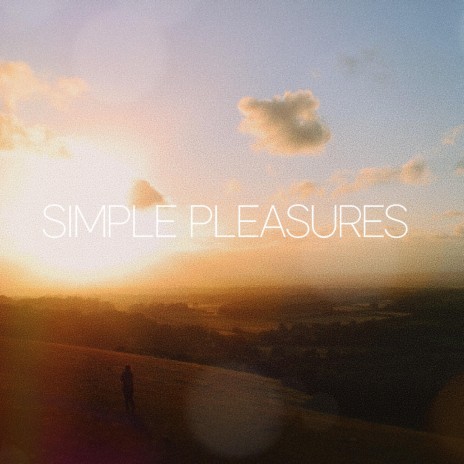 Simple Pleasures | Boomplay Music