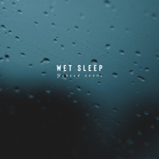 Wet sleep