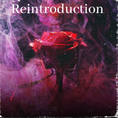 Reintroduction