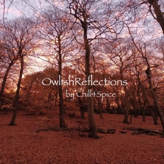 OwlishReflections