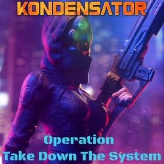 Operation Take Down The System