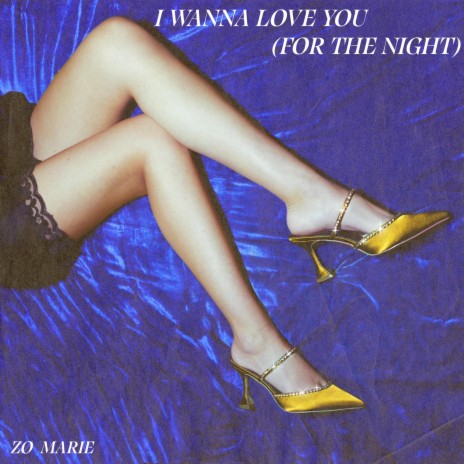 I Wanna Love You (For the Night)