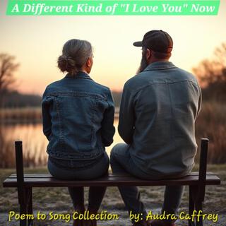 A Different Kind Of I Love You Now lyrics | Boomplay Music