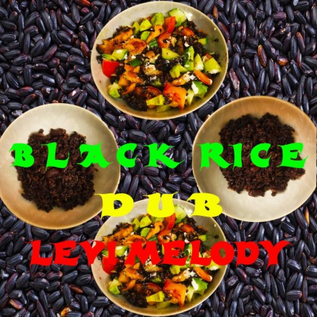 Black Rice Dub | Boomplay Music