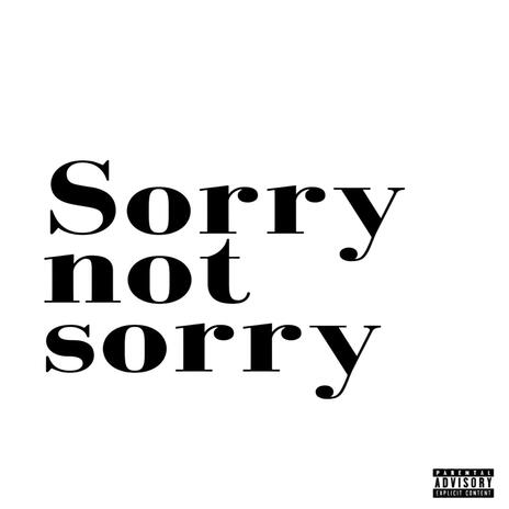 Sorry not Sorry | Boomplay Music