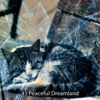 45 Peaceful Dreamland