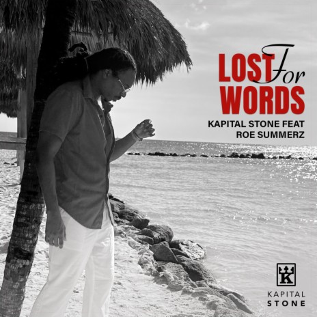 Lost For Words ft. Roe Summerz | Boomplay Music