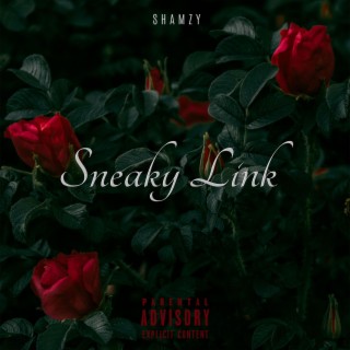 Sneaky Link lyrics | Boomplay Music