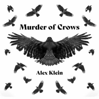 Murder of Crows