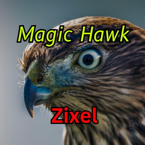 Magic Hawk