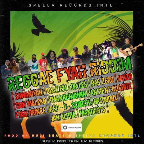 Reggae Fyah Riddim (Instrumental) | Boomplay Music